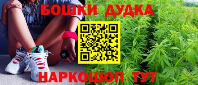 молекула духа Будённовск