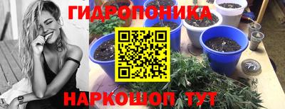 молекула духа Будённовск
